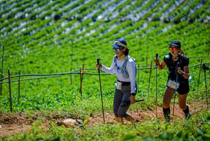 BIB: 3176
                            <button type="button" onclick="openModal(19164624)" class="btn btn-primary btn-sm float-right btn-popup" data-toggle="modal" data-target=".modal-high-quality">
                        <i class="fas fa-shopping-cart"></i> Add to Cart
                    </button>
                                            <button type="button" onclick="isThisMe(19164624, true)" class="btn btn-success btn-sm float-right btn-popup btn-isme hidden" data-toggle="tooltip" data-placement="bottom" title="นี่คือรูปของคุณใช่ไหม คลิกที่นี่เพื่อเอาเข้าอัลบั้ม">
                        <i class="fas fa-plus"></i> Add to album
                    </button>
                    <button type="button" onclick="isThisMe(19164624, false)" class="btn btn-warning btn-sm float-right btn-popup btn-isnotme hidden">
                        <i class="fas fa-ban"></i> Remove from album
                    </button>